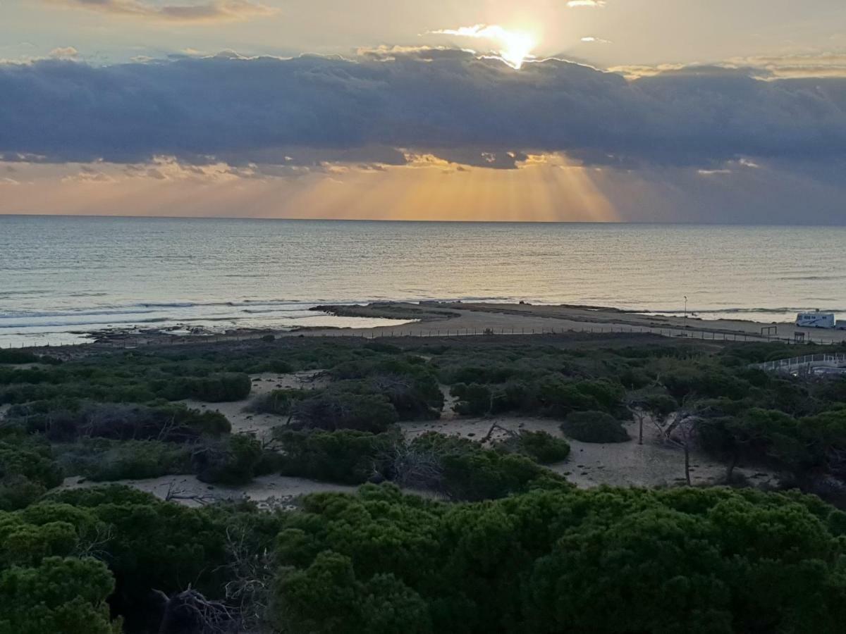 Holiday Apartments La Mata ลามาตา ภายนอก รูปภาพ